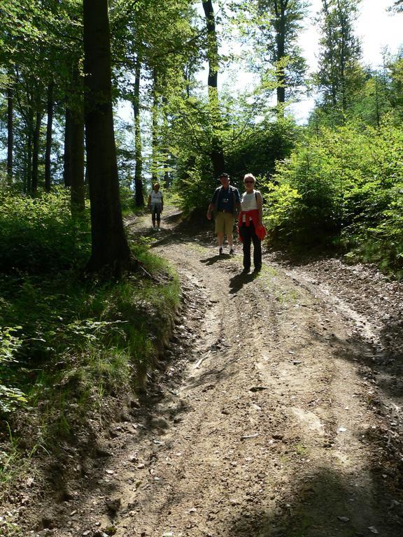 Landhaus Zum Sorpetal Hotel Schmallenberg Kültér fotó
