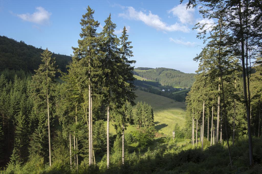 Landhaus Zum Sorpetal Hotel Schmallenberg Kültér fotó