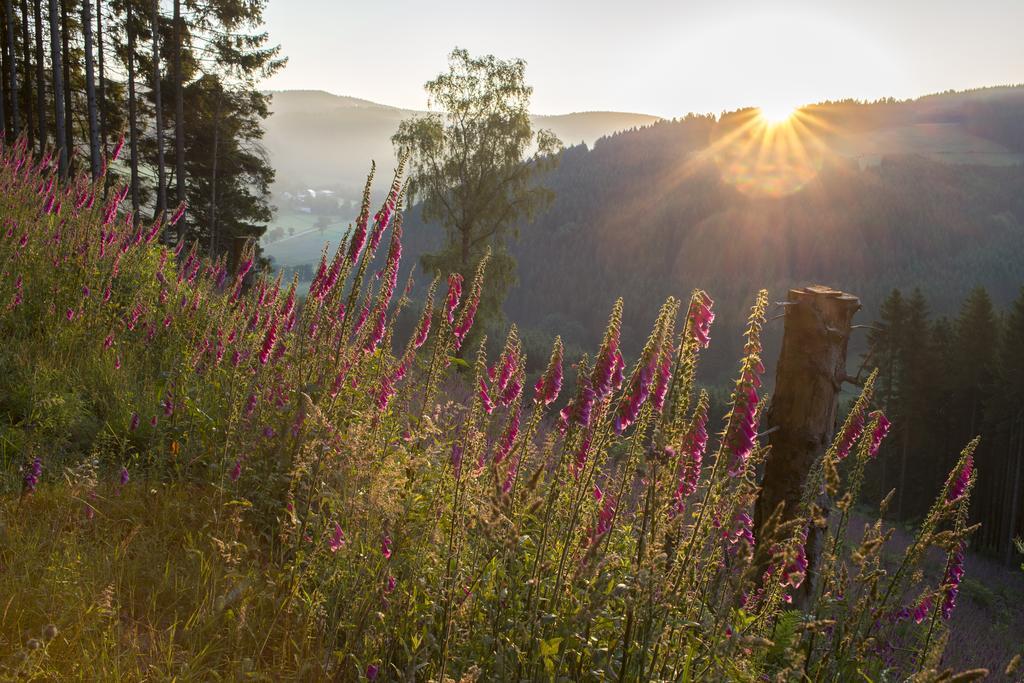Landhaus Zum Sorpetal Hotel Schmallenberg Kültér fotó