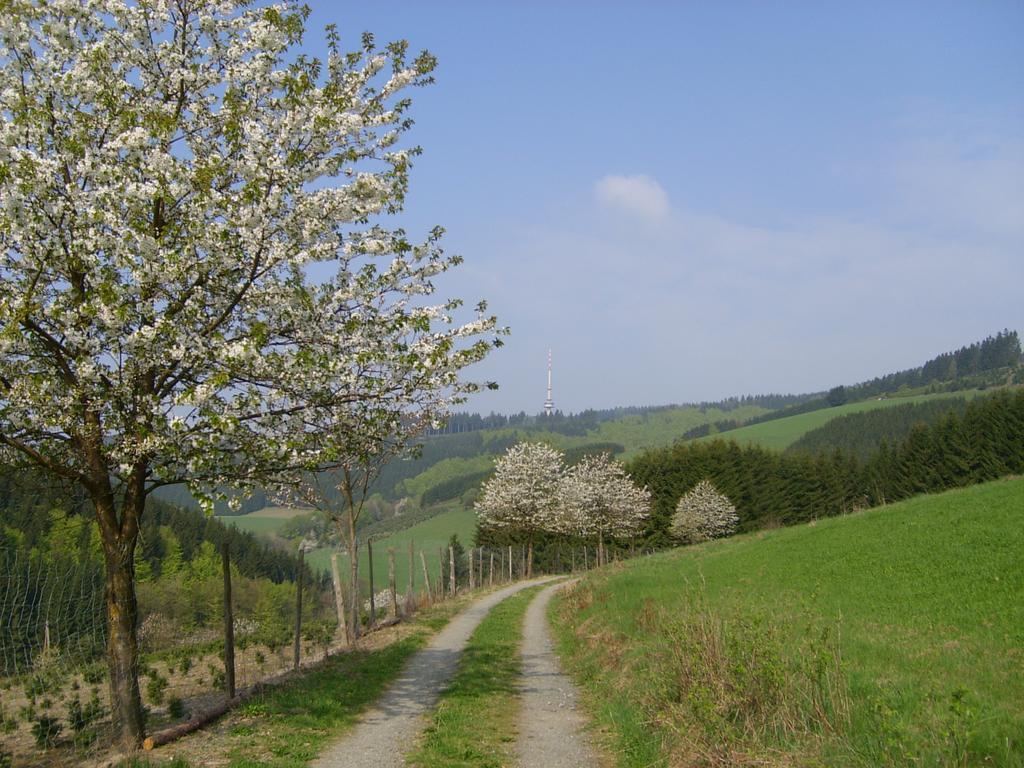 Landhaus Zum Sorpetal Hotel Schmallenberg Kültér fotó