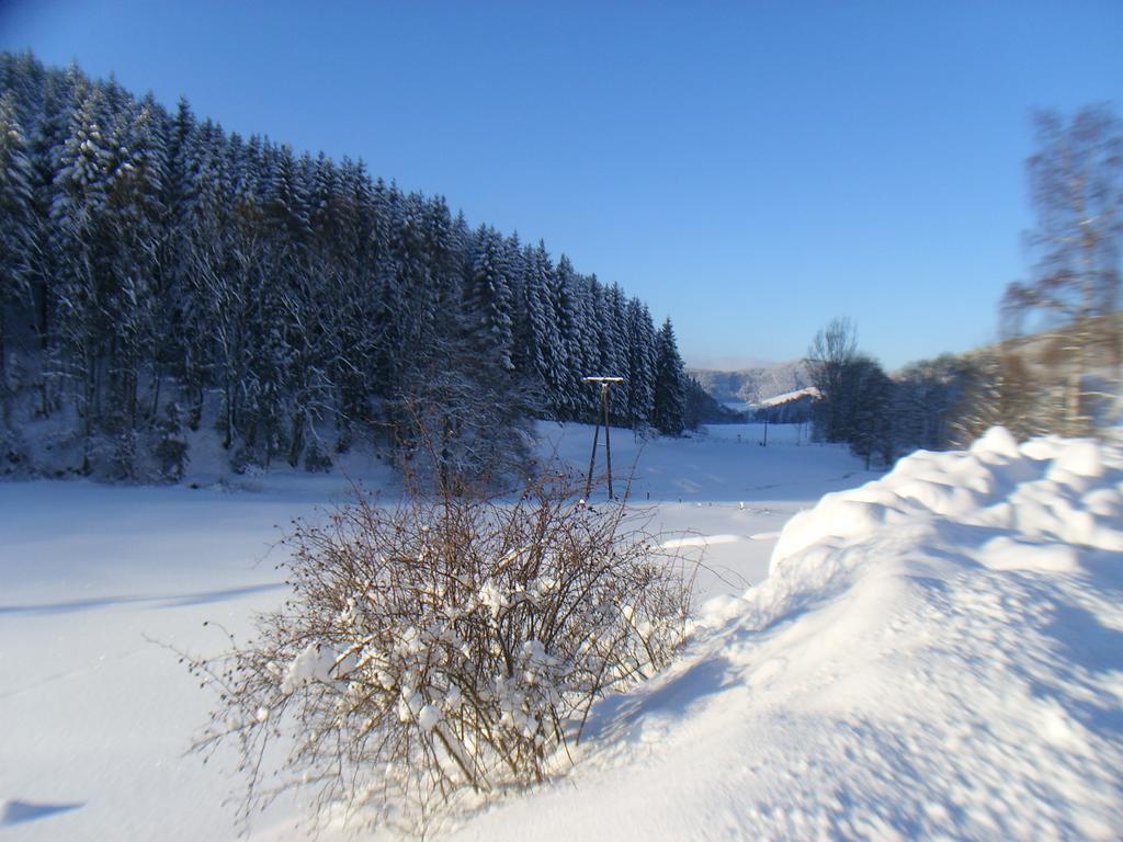 Landhaus Zum Sorpetal Hotel Schmallenberg Kültér fotó