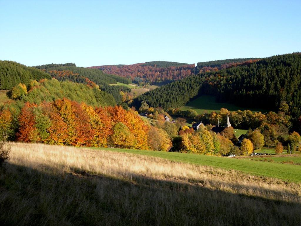 Landhaus Zum Sorpetal Hotel Schmallenberg Kültér fotó