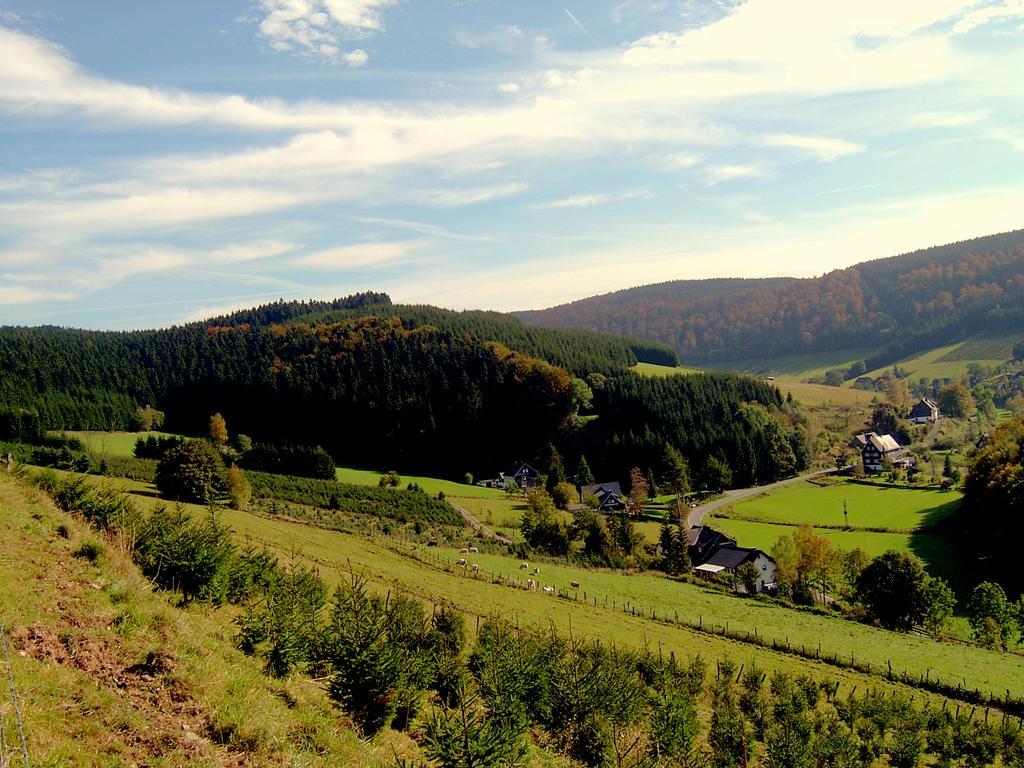 Landhaus Zum Sorpetal Hotel Schmallenberg Kültér fotó